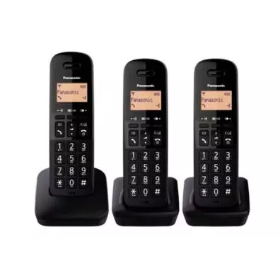 Teléfono inalámbrico Panasonic KX-TGB613SPB