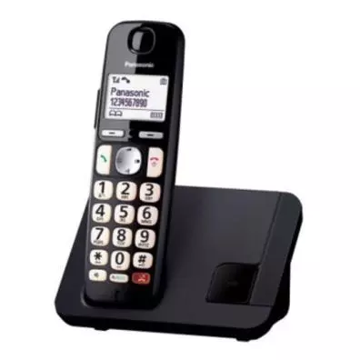 Teléfono inalámbrico Panasonic KX-TGE250SPB