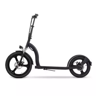 Patinete eléctrico Youin SC5000 2XL