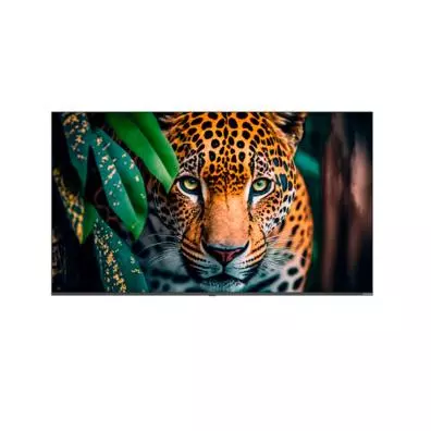 Pantalla interactiva Newline STV-8524P 85"