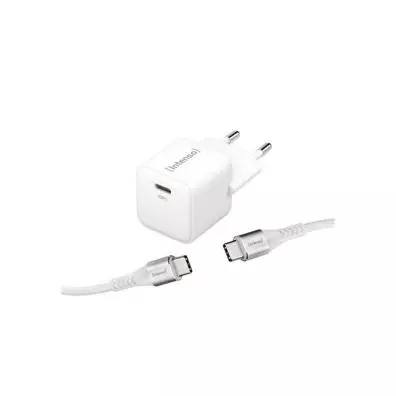 Cargador universal Intenso 7803042