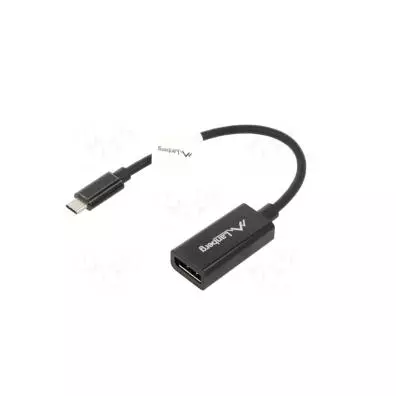 Adaptador Lanberg AD-UC-DP-01