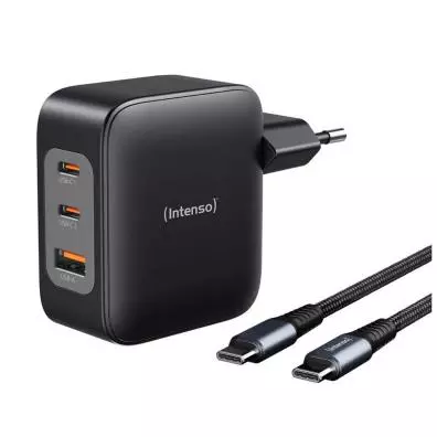Cargador Intenso W100ACC+C520C