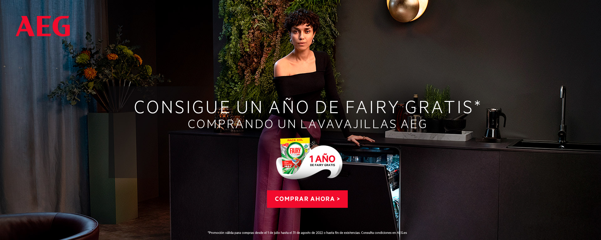 Llévate 1 año de detergente Fairy por la compra de tu lavavajillas AEG