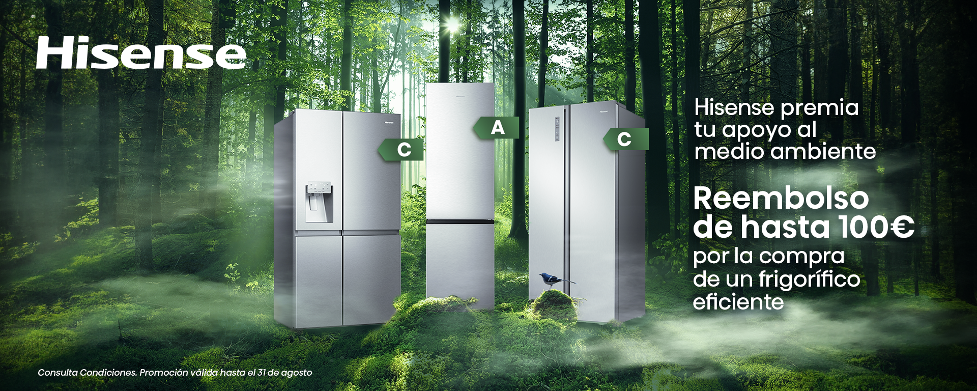 Hisense Premia tu Apoyo al Medio Ambiente