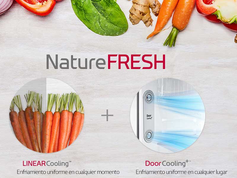 nature fresh lg frigorifico dos puertas